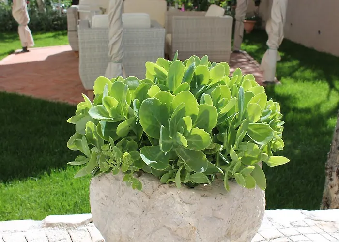 Villa Sime & Cvita *